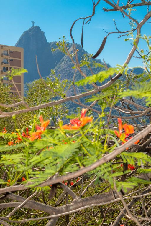 Rio Nature Hostel 리오데자네이루 객실 사진