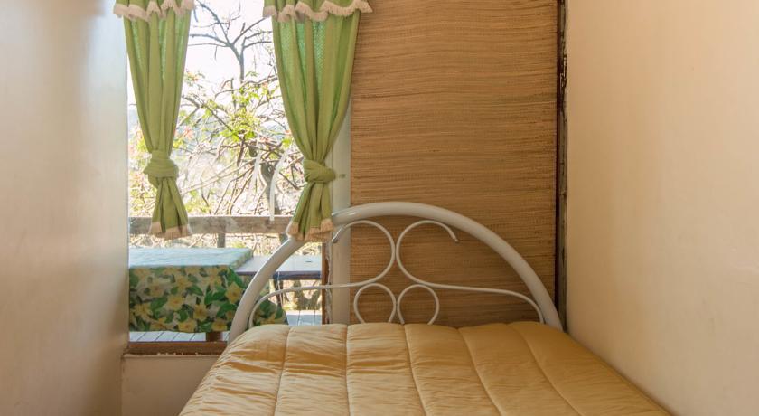 Rio Nature Hostel 리오데자네이루 객실 사진