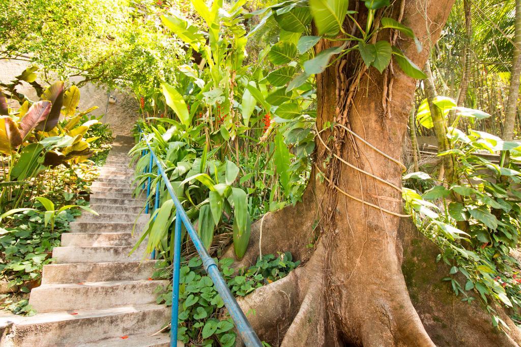 Rio Nature Hostel 리오데자네이루 외부 사진