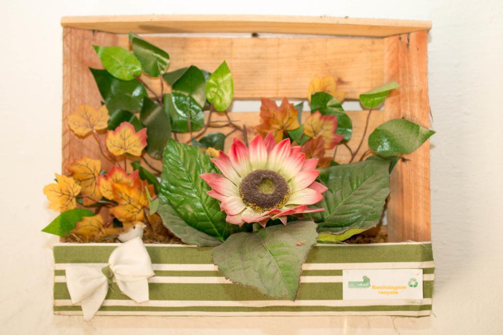 Rio Nature Hostel 리오데자네이루 외부 사진